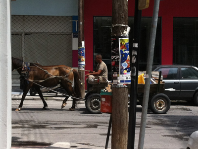 Βγήκαν τα άλογα στους δρόμους…