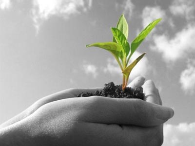 Έδωσε… ζωή στον Υμηττό η LeasePLan Hellas