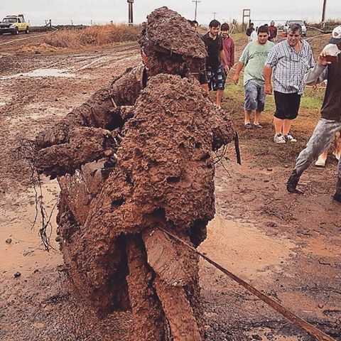 Τι να γράψουμε τώρα γι' αυτόν τον αναβάτη;