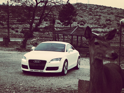 Η φωτογραφία της ημέρας…