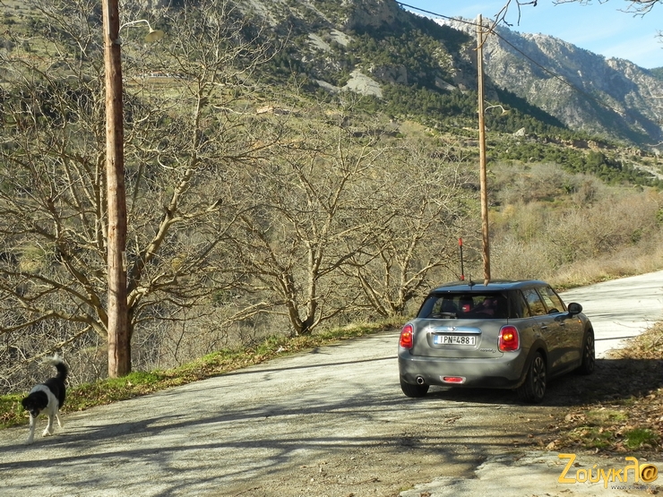 Οταν καλύπτεις δεκάδες χιλιόμετρα το χρόνο συναντάς και τέτοια τοπία...
