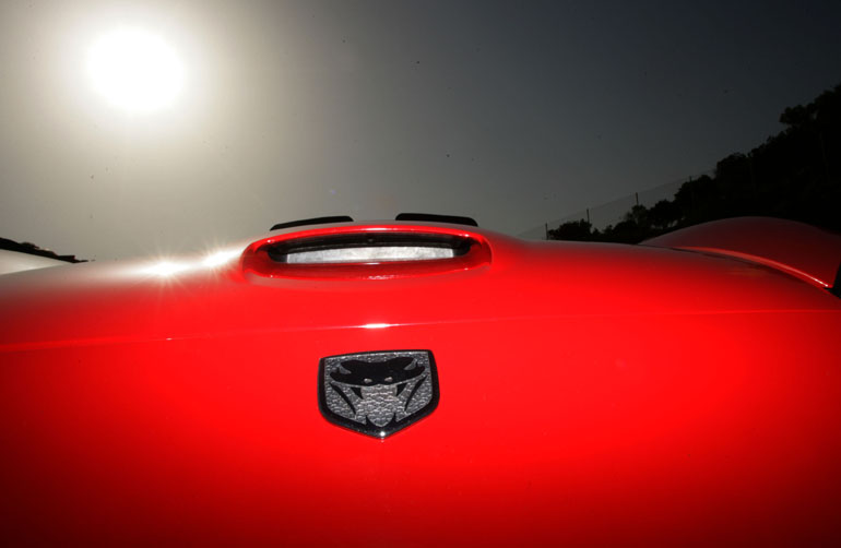 Η οχιά έχει άγριες διαθέσεις...