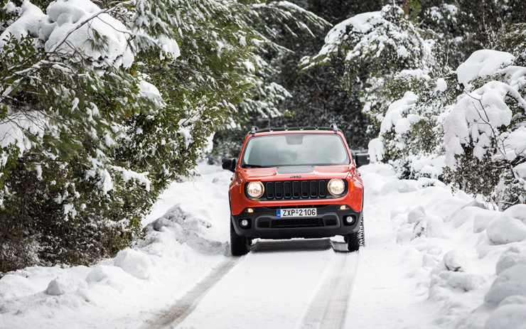 Βλέποντας αυτή την εικόνα δεν γίνεται να μην ζηλέψεις...