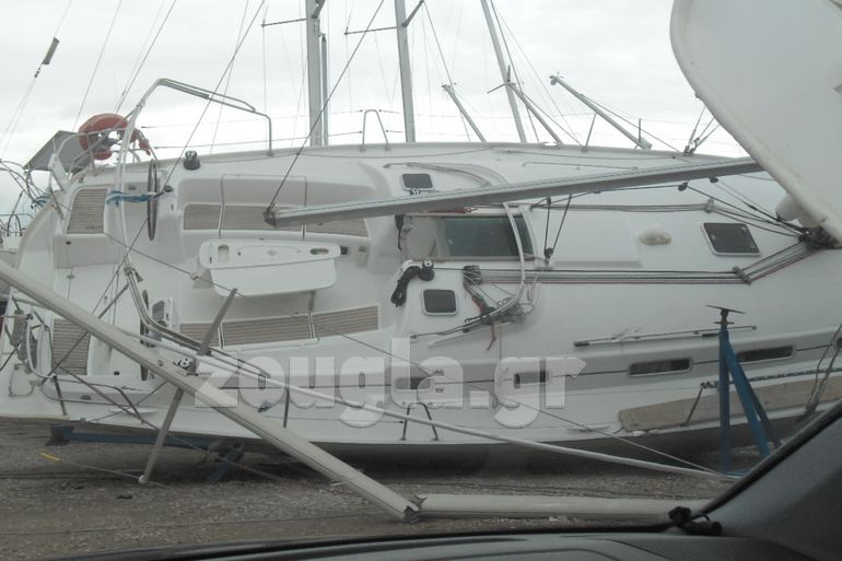 Οι ιδιοκτήτες τους δεν μπορούν να πιστεψουν αυτό που συνέβη...