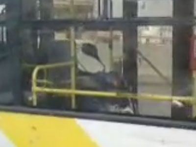 Ακόμα… ψάχνουν τον οδηγό που μετέφερε παπάκι με λεωφορείο