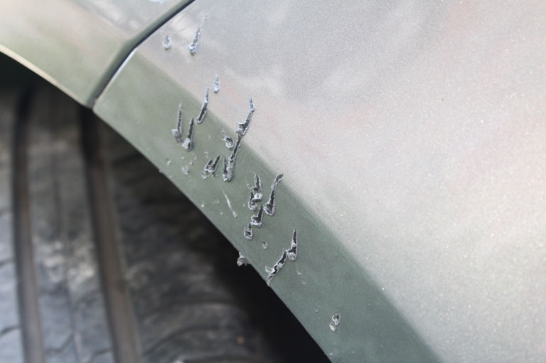 Να πας στο αυτοκίνητο σου να δεις αυτό και να διαπιστώσεις ότι στο... δάγκωσε σκύλος!!!