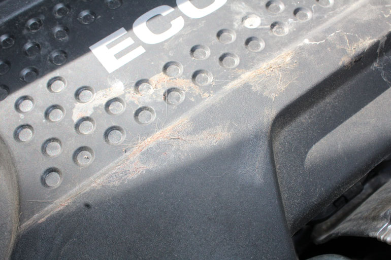 Μέρος από τον κινητήρα του αυτοκινήτου στο οποίο διακρίνονται τα σημάδια από τη.. μάχη που δόθηκε μεταξύτ σκύλου και γάτας..