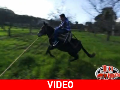 Χωρίς ενεργητική και παθητική ασφάλεια τα… μουλάρια!