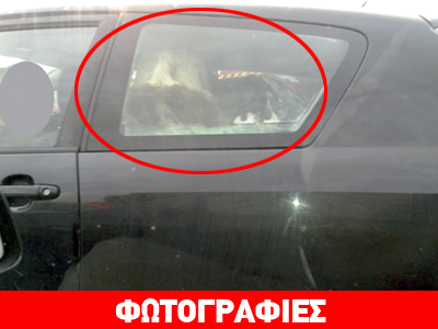 Απίστευτο: Έβαλε γίδα στο… πίσω κάθισμα!!!