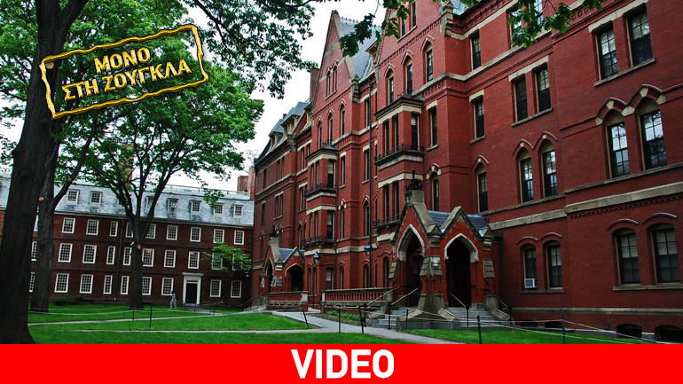 H Namco (Pony) στην ελληνική εβδομάδα επιστημόνων του Harvard