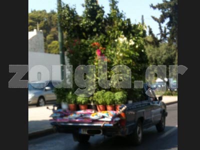 Φόρτωσε το αγροτικό με δέντρα 4 μέτρων!!!!