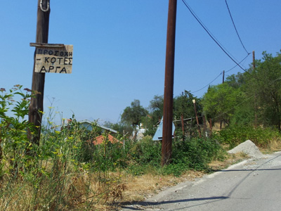 Προσοχή… κότες