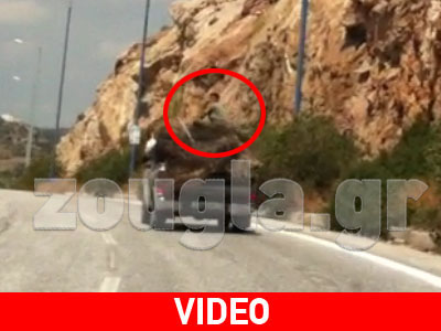 Έβαλαν το παιδί τους στην καρότσα με τα παλιοσίδερα!