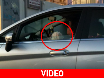 Έβαλε τον σκύλο της να οδηγήσει!