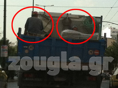 Τους έβαλαν στην… καρότσα για να τους μεταφέρουν!