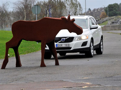 Τα μελλοντικά μοντέλα της Volvo θα εντοπίζουν και τα ζώα
