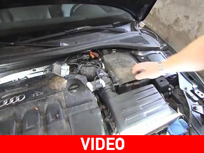 Τι ζημιά προκαλεί ένα κουνάβι στον κινητήρα;