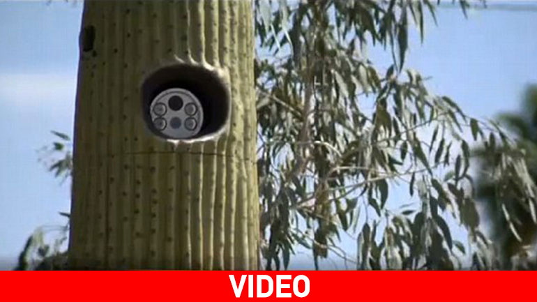 Έκρυψαν τις κάμερες ελέγχου σε ψεύτικους κάκτους!