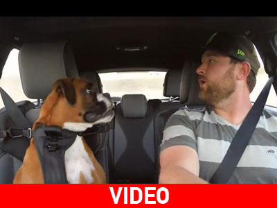 Αυτός ο σκύλος χαίρεται όσο κανείς το ντριφτάρισμα!