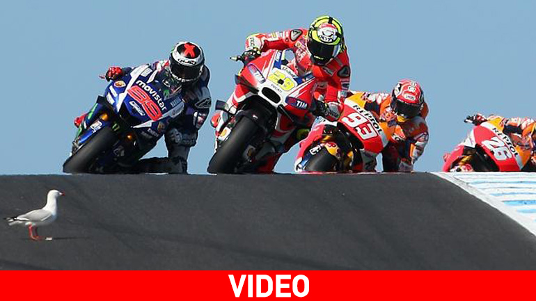 Iannone εναντίον γλάρου στο Philip Island!