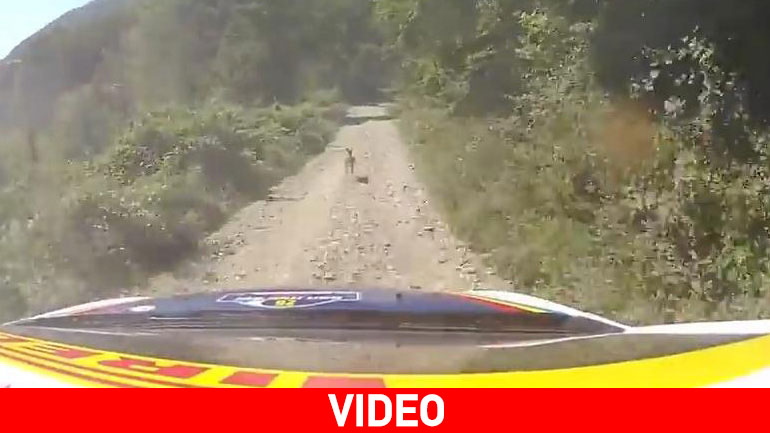 Αγωνιστικό εναντίον ελαφιού!