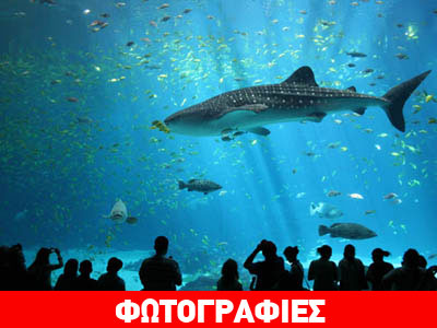 Το μεγαλύτερο ενυδρείο του κόσμου