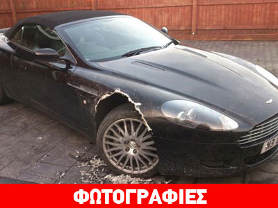 Σκύλος τρώει… φτερά από Aston Martin!