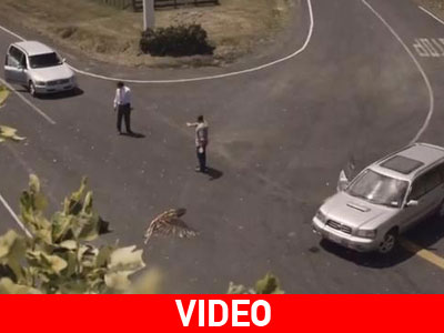 Αποφύγετε την υπερβολική ταχύτητα – Δεν συγχωρεί!