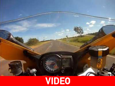 Του πετάχτηκε φίδι στο τιμόνι!