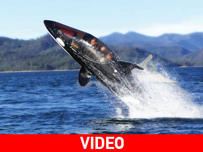 To σκάφος «Όρκα»!