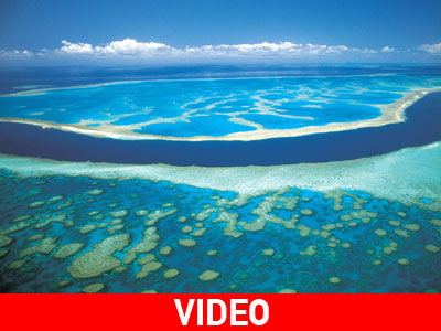 Ο μεγαλύτερος κοραλλιογενής ύφαλος