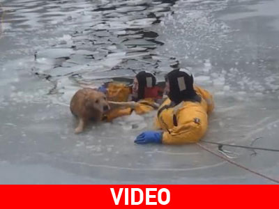 Έπεσαν στα παγωμένα νερά για να σώσουν το σκύλο