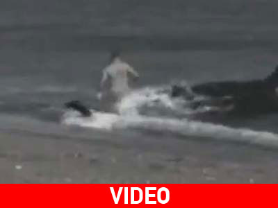 Είναι απίστευτα τρομακτικό για να είναι αληθινό!