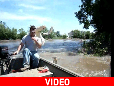 Η πιο εύκολη ψαριά!