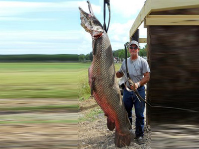 Εκπληκτική ψαριά με τόξο! Εκπληκτική ψαριά με τόξο!