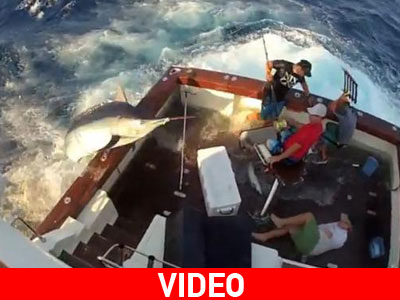 Ψάρι 270 κιλών πηδά στο σκάφος!