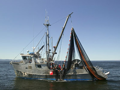 Το καλύτερο ψαράδικο στην Αυστραλία είναι ελληνικό