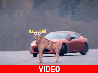 Απέτυχε το GT 86 στο τεστ ταράνδου!