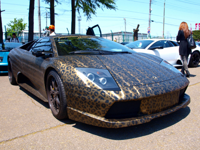 Έβαψε αυτό το αυτοκίνητο… λεοπάρ!