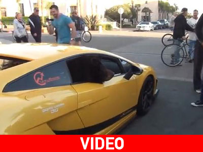 Τι θέλει η αρκούδα μέσα στη Lamborghini!