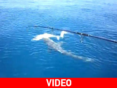 Πώς μπορεί να έχασε τέτοια ψαριά;