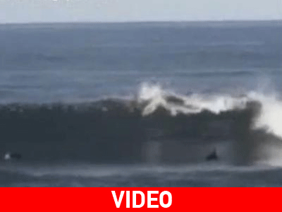 Καρχαρίας επιτίθεται σε σέρφερ