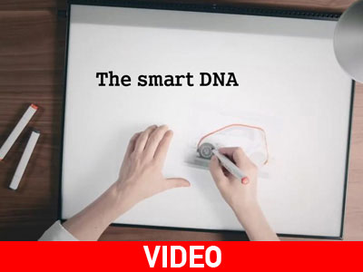 Πλησιάζει η ώρα των νέων Smart fortwo και forfour