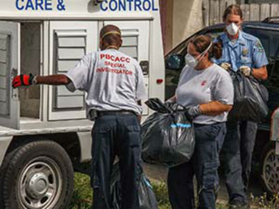 Φλόριντα: Η αστυνομία βρήκε… 50 ψόφιες γάτες σε ψυγεία
