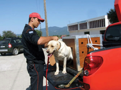 Προσπάθησαν να κλέψουν σκύλο της ΕΜΑΚ
