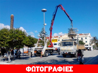 To κόκκινο σκαθάρι «έφαγε» τους φοίνικες της πλατείας Αργοστολίου