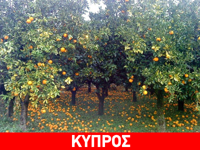 Κύπρος: Αναζητά εναλλακτικές αγορές για εσπεριδοειδή και ψάρια