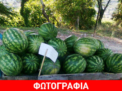 «Αυτόματος πωλητής»… καρπουζιών