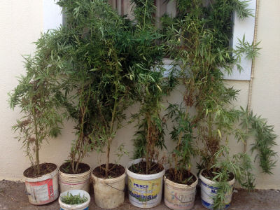 Ρέθυμνο: Οι… γλάστρες του έβαλαν σε περιπέτειες