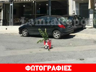 Κάλυψαν τρύπα σε διασταύρωση με… δέντρο!